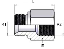 capaCatalogo