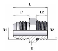 capaCatalogo